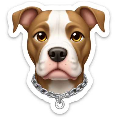 American pitbull terrier with a brown and tan striped coat and white down middle of his face and chest. He has a silver chain link collar sticker