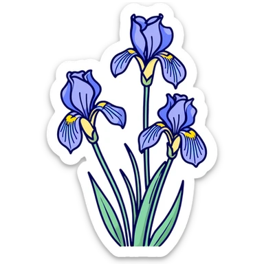 Elegant blue iris flower showing characteristic iris form with three drooping falls and three upright standards, with decorative long leaves sticker