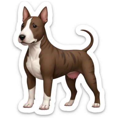 brindle english bull terrier dark brown sticker