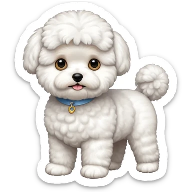 a full body of cute bichon frise sticker