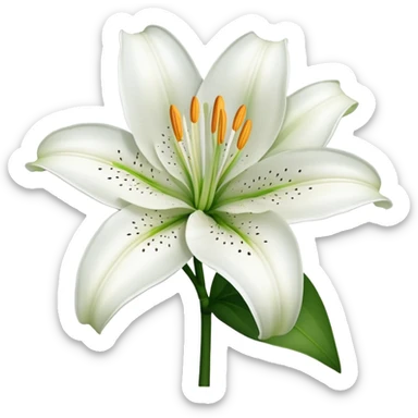 Botanically accurate white lily flower with exactly six petals, six stamens, and green stem sticker
