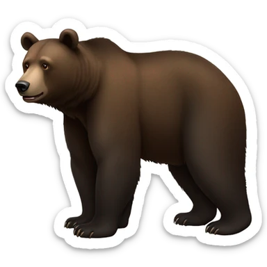 Black brown Bear full body sticker