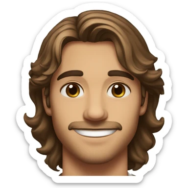 Handsome man, 22 years old, light mustache and chin hair, long brown hair, hazel eyes, good eyebrows, beautiful smile sticker