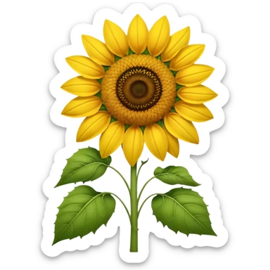 hoa hướng dương sticker