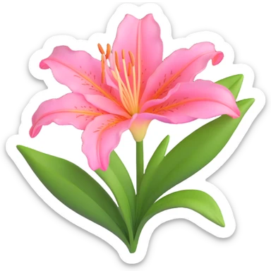 Elegant pink lily flower with detailed petals and green foliage sticker