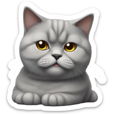 fluffy  bored looking british shorthair cat sticker