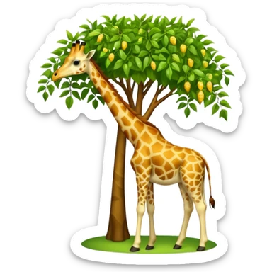 giraffe eating leaves from a tree sticker