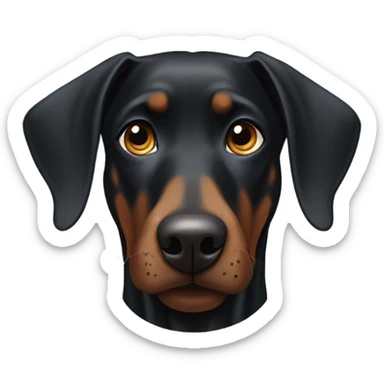 Black Doberman one ear cropped up one ear floppy not cropped sticker