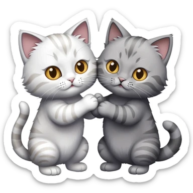 Two British cats (breed) fighting: one grey girl and one white boy with white tips  sticker