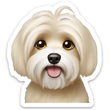 blonde havanese dog, cute big eyes  sticker