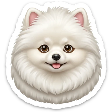 White pomerania  sticker