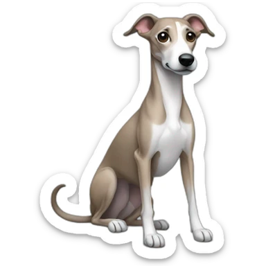 whippet sticker