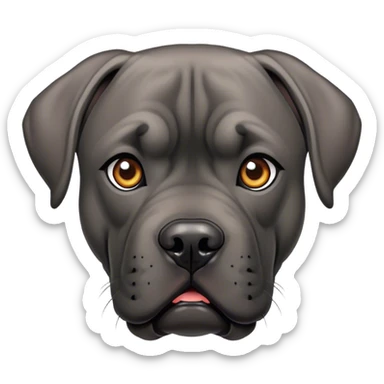 Cane corso sticker