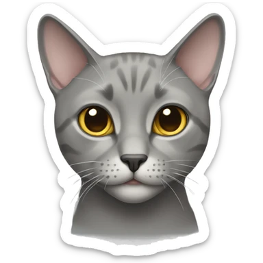 Grey male brittish short hair cat sticker