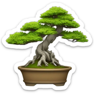 Informal upright bonsai sticker