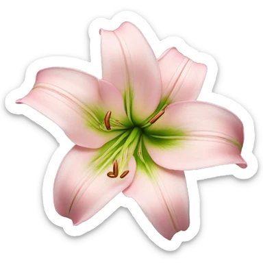 light pink lilium sticker