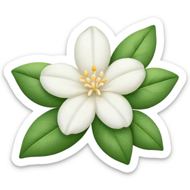 Jasmine flower sticker