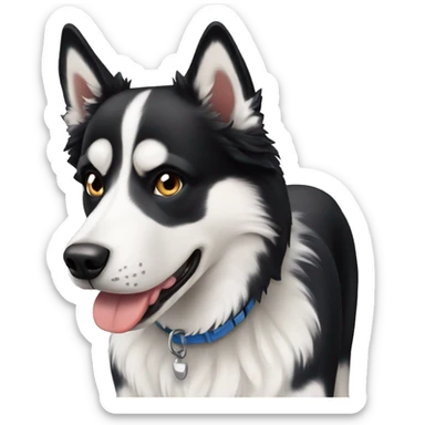 Husky and border collie mix dog sticker