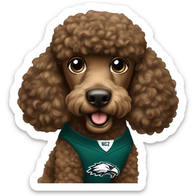 Brown Poodle wearing an eagles jersey sticker