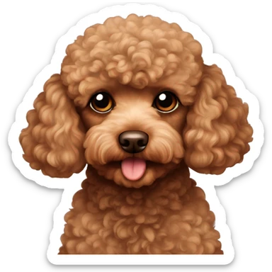 Brown toy poodle laying sticker