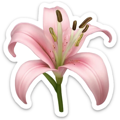 light pink lilium sticker