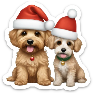  Schnoodle and gold cavapoo with Christmas hats sticker