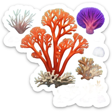 Coral sticker