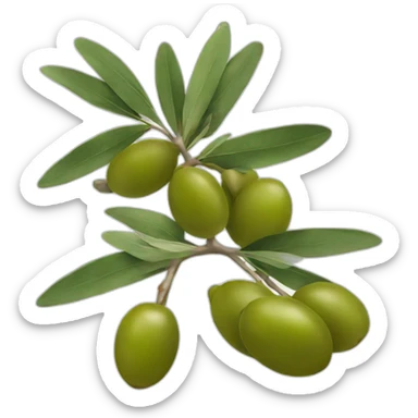 Olive sticker