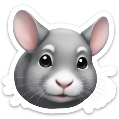 Chinchillas  sticker