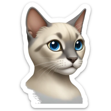 Thai breed cat with a light cream-brown body, dark gray face, ears, and paws. Short fur, sharp ears, and striking light blue eyes with an intense gaze. sticker