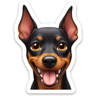 A pinscher dog eating  sticker