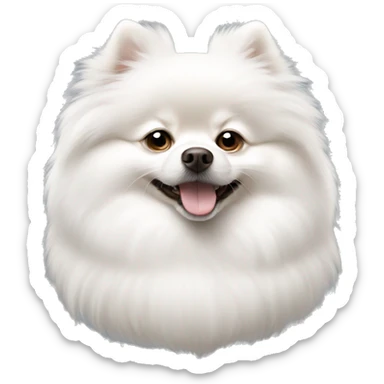 White Pomeranian Spitz is lying sticker