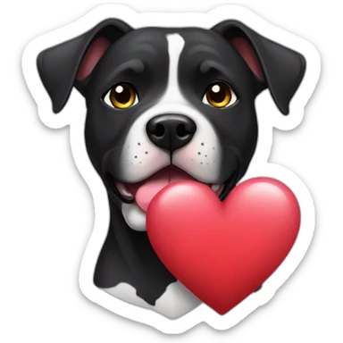 Black amstaff with heart sticker