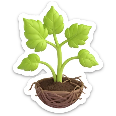 young grapevine sprout just starting to grow on grapevine, leaves partially unfurled, showing early growth stages of young grapevine, 3D emoji style, no background sticker