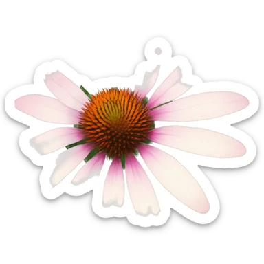 echinacea flower sticker