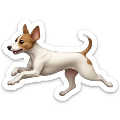 light brown rat terrier running sticker