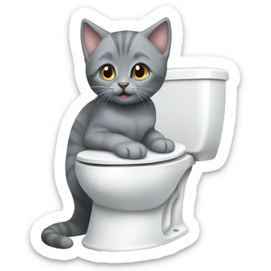 blue eyes grey kitten and toilet  sticker