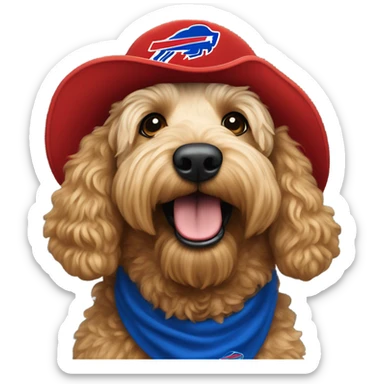 Golden doodle wearing a buffalo bills hat sticker
