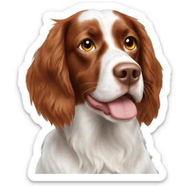 Brittany spaniel long hair with spots sticker