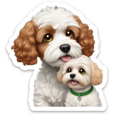 red haired girl with green eyes with her black land white Maltipoo dog sticker