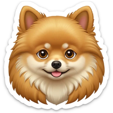 Pomeranian sticker