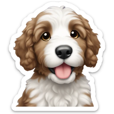 bernedoodle puppy sticker