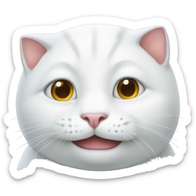 beluga meme cat sticker