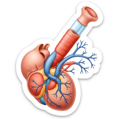 reproductive system sticker