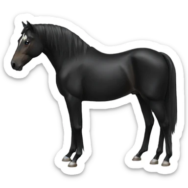 horse black sticker