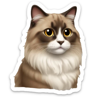 brown ragdoll cat sticker