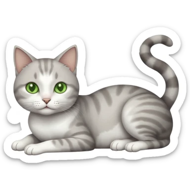 full body tiny short hair grey and white cat with white front legs and green  eyes lying down sticker