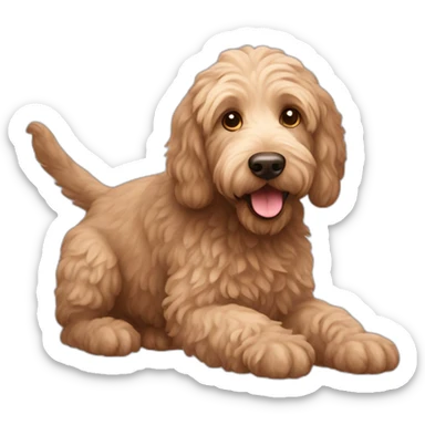 Labradoodle playing sticker