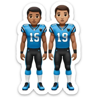 Panthers nfl team sticker