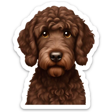 Chocolate brown labradoodle sticker